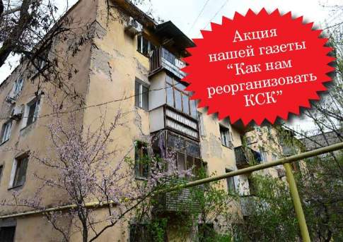 Дилетанты в законе,