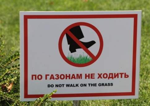 Знаковый случай